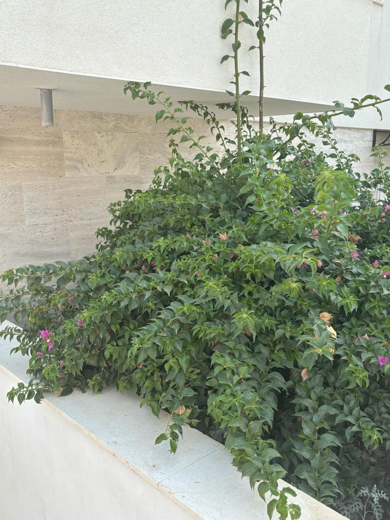 Vila Regina Apartment Regina With Swimming Pool Jezera Esterno foto